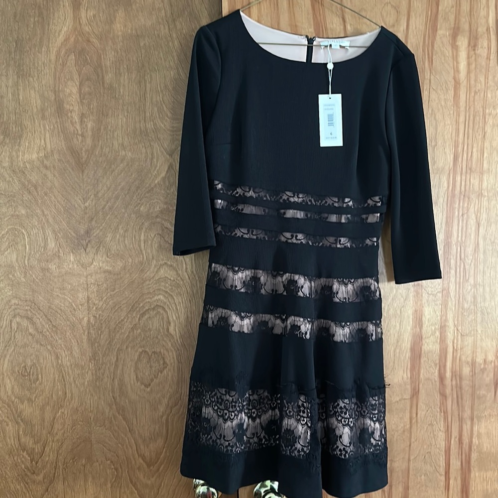 Erin black dress with beige lining  NWT